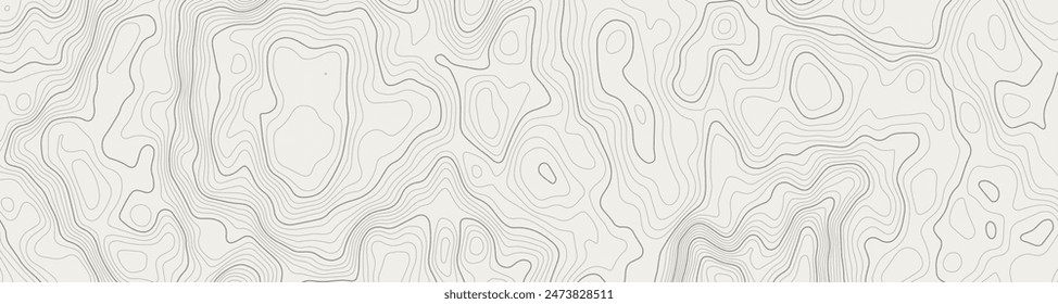 Stylized topographic contour map. Geographic line mountain relief. Abstract lines or wavy backdrop background. Cartography, topology, or terrain path concept. Vector illustration with editable stroke