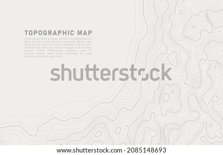 Stylized topographic contour map. Geographic line mountain relief. Abstract lines or wavy backdrop background. Cartography, topology, or terrain path concept. Vector illustration with editable stroke