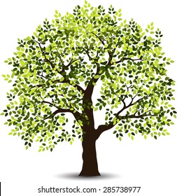 stylized tree