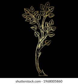 Stylized tree or branch with leaves. Medieval folk style. Hand drawn linear doodle rough sketch.  Golden glossy silhouette on black background.