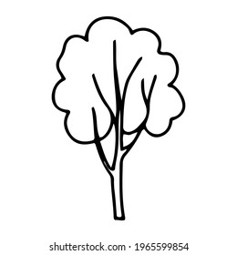 A  stylized tree in doodle style. Contour hand-drawn tree illustration for printing, web, mobile devices isolated on white background. Vector