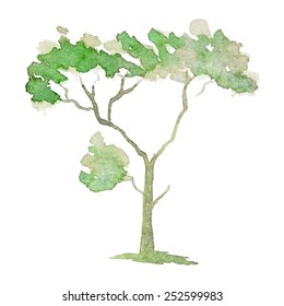 A stylized tree hand-painted with watercolors