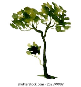 A stylized tree hand-painted with watercolors