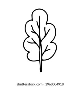 Stylized tree. Illustration of a tree hand-drawn in doodle style with an outline for print, web, mobile, isolated on a white background. Vector