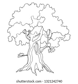 stylized tree image, coloring, black and white pattern