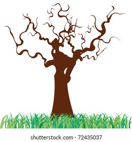 stylized tree with its long twisted branches