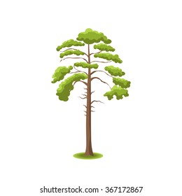 Stylized tree on white background. Nature vector illustration. Side view