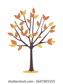 Stylized tree with orange and yellow leaves on bare dark branches, minimal flat style, isolated on white background. Concept of autumn season. Vector illustration