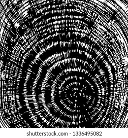 Stylized tree rings or shells. Abstract background, texture. Art. Monochrome vector illustration. Line drawing. Design element.
