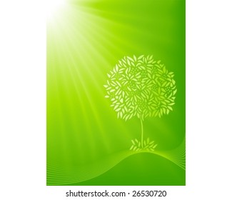 Stylized tree silhouette on a green light burst background. 5 global colors, blends, clipping masks and linear gradient.