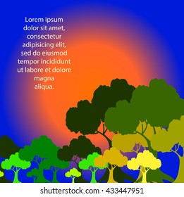Stylized trees on sunset background. Vector illustration.
