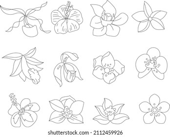 Stylized tropic flowers. Objects isolated on white background. Black and white contour monochrome illustration.  Coloring book style.