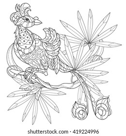 Stylized tropical bird of paradise.Hand drawn vector illustration. Sketch for tattoo or makhenda or adult coloring book. Bird collection boho style.