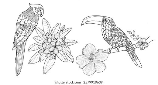 Stylized Tropical wild birds and plants. Birds and toucan cockatoo parrot with hibiscus and plumeria flowers on white background. Coloring book for adult and older children anti stress coloring page.