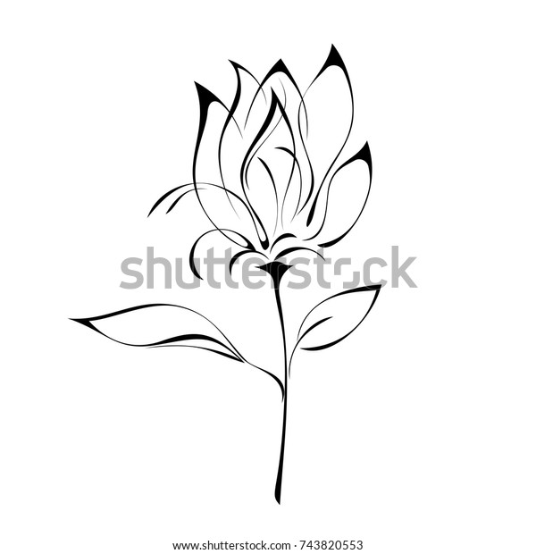 Stylized Tulip Black Lines On White Stock Vector (Royalty Free ...