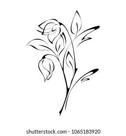 stylized tulip flower with leaves in smooth black lines on a white background