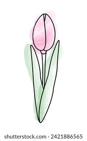 Stylized tulip in watercolor manner in trendy soft shades. Design element for springtime greetings