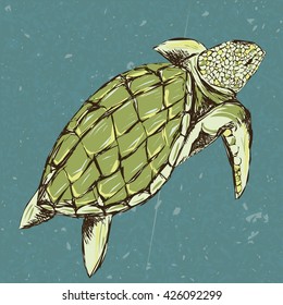 Stylized turtle swims on background sea and sea foam. Hand drawn outline sketch for T-shirt . Grunge style.
