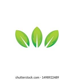 Stylized twig elements with leaves, Green leaf collection, Leaf icon vector isolated on white background. Various shapes of green leaves on trees and plants, floral elements 