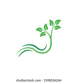 Stylized twig elements with leaves, Green leaf collection, Leaf icon vector isolated on white background. Various shapes of green leaves on trees and plants, floral elements 