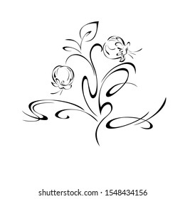 stylized twig with flower buds, one leaf and curls in black lines on a white background