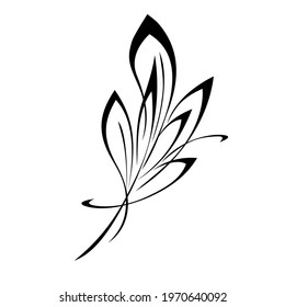 stylized twig with leaves in black lines on a white background