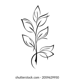 stylized twig with leaves in black lines on a white background