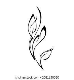 stylized twig with leaves in black lines on a white background