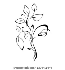 stylized twig with leaves and curls in black lines on a white background