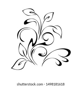 stylized twig with leaves and curls in black lines on a white background