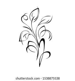 stylized twig with leaves and curls in black lines on a white background