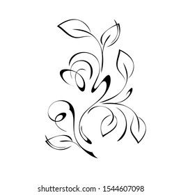 stylized twig with leaves and curls in black lines on a white background