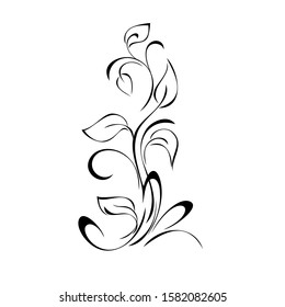 stylized twig with leaves and curls in black lines on a white background