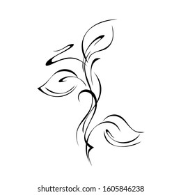 stylized twig with leaves and curls in black lines on a white background