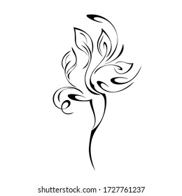 stylized twig with leaves and curls in black lines on a white background