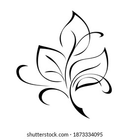 stylized twig with leaves and curls in black lines on a white background