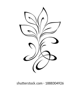 stylized twig with leaves and curls in black lines on a white background