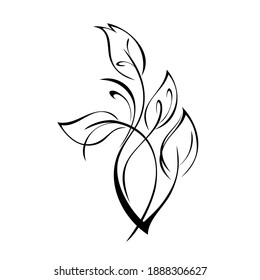 stylized twig with leaves and curls in black lines on a white background