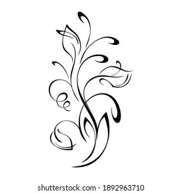stylized twig with leaves and curls in black lines on a white background