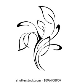 stylized twig with leaves and curls in black lines on a white background