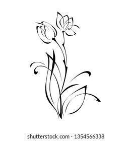 stylized twig with leaves and flowers in black lines on a white background