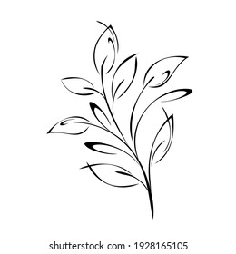 stylized twig with leaves and vignettes in black lines on a white background