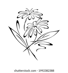 stylized twigs with blooming flowers, leaves and curls in black lines on a white background