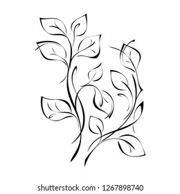 stylized twigs with leaves in smooth black lines on white background