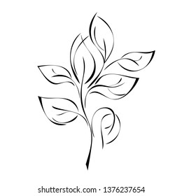 stylized twigs with leaves in smooth black lines on white background