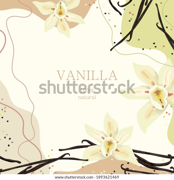 Stylized vanilla on an\
abstract background with text. Vanilla flowers. Banner, poster,\
wrapping paper, sticker, print, modern textile design. Vector\
illustration. 