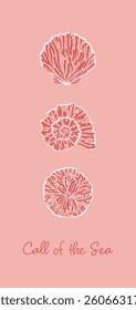 Stylized various shell design illustrations on pink background with Call of the Sea quote