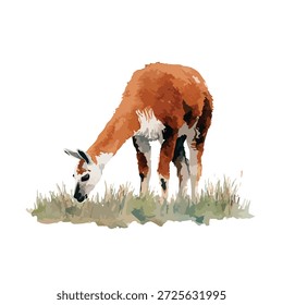 Arte vetorial estilizada de um guanaco selvagem pastando na grama. Ideal para a natureza, vida selvagem, conteúdo educacional e projetos de viagens da América do Sul.