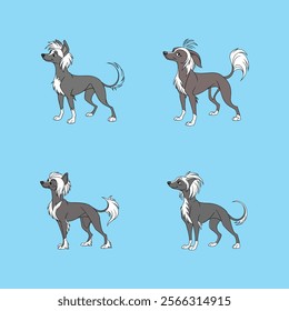 Stylized vector artwork of a Chinese Crested Dog, perfect for pet lovers and design projects