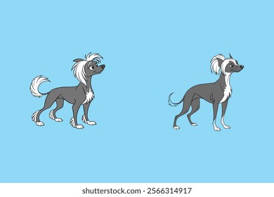 Stylized vector artwork of a Chinese Crested Dog, perfect for pet lovers and design projects